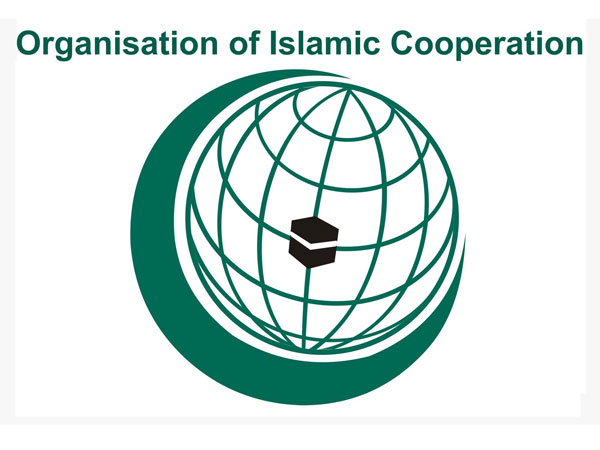 India slams Islamic organisation for comments on Kashmir India slams Islamic organisation for comments on Kashmir