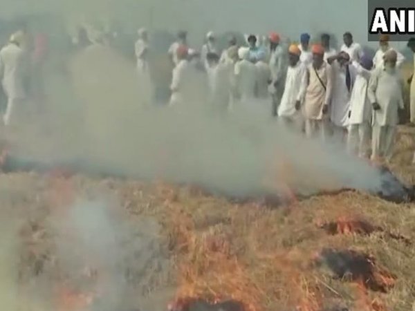Punjab farmers Punjab farmers