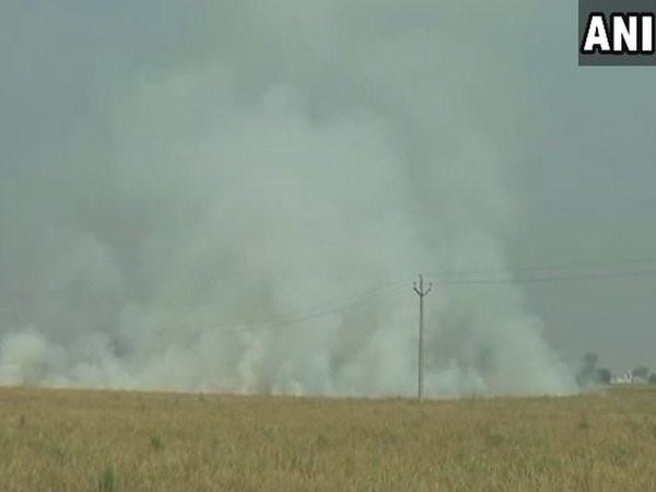 Smoke billowing out of the field Smoke billowing out of the field