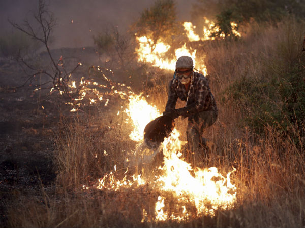Largest wildfire on record in California finally contained. PTI file photo Largest wildfire on record in California finally contained. PTI file photo