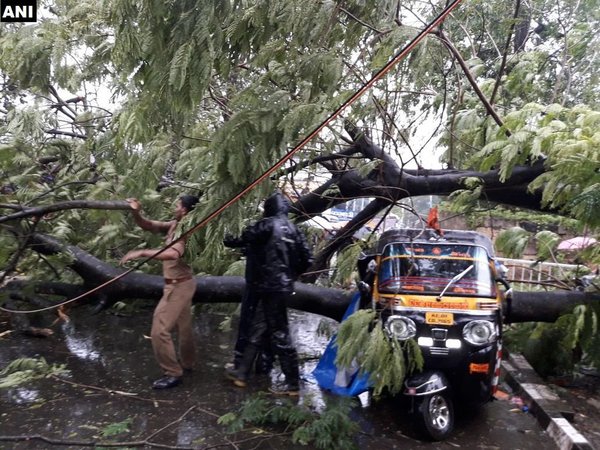 Strong winds uproot trees in Trivandrum