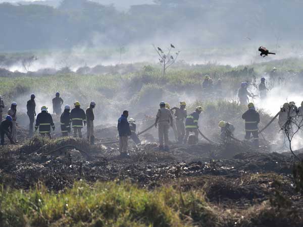 Should only government worry about state of Bellandur lake? Should only government worry about state of Bellandur lake?