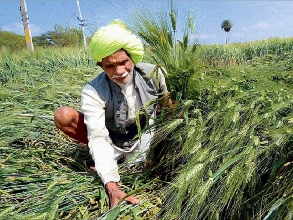 Agriculture reforms Agriculture reforms