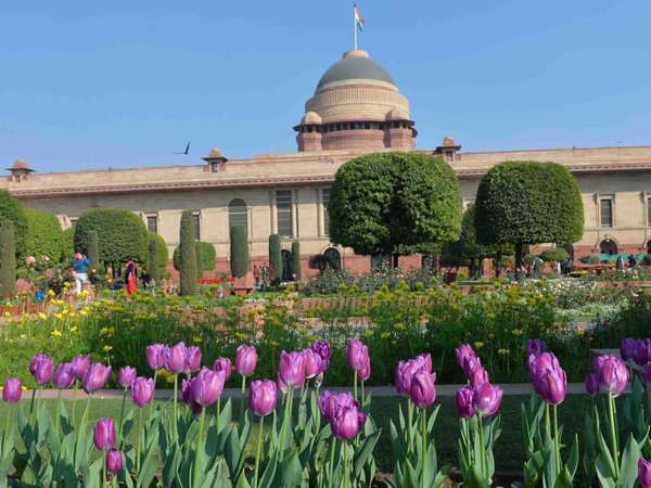 Inspired by Mughal Gardens of Jammu and Kashmir