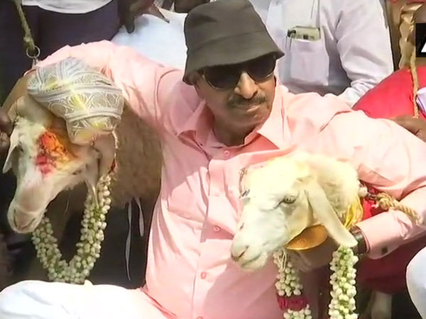 Kannada activist demands holiday on Valentine's day, financial support to lovebirds Kannada activist demands holiday on Valentine's day, financial support to lovebirds