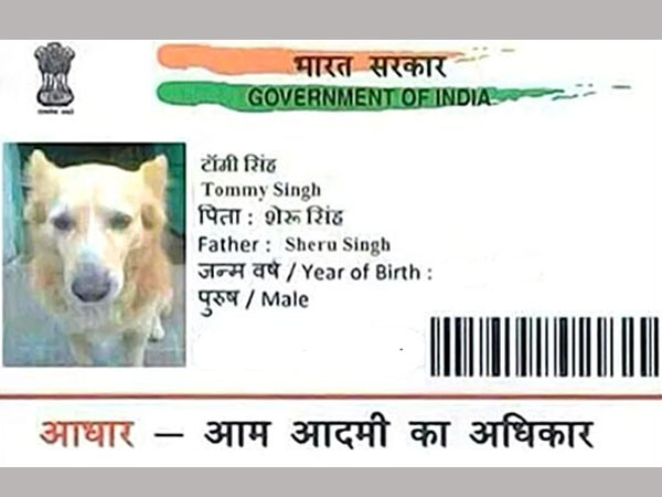 Madhya Pradesh shocker: Man held for getting Aadhaar card made for dog Madhya Pradesh shocker: Man held for getting Aadhaar card made for dog