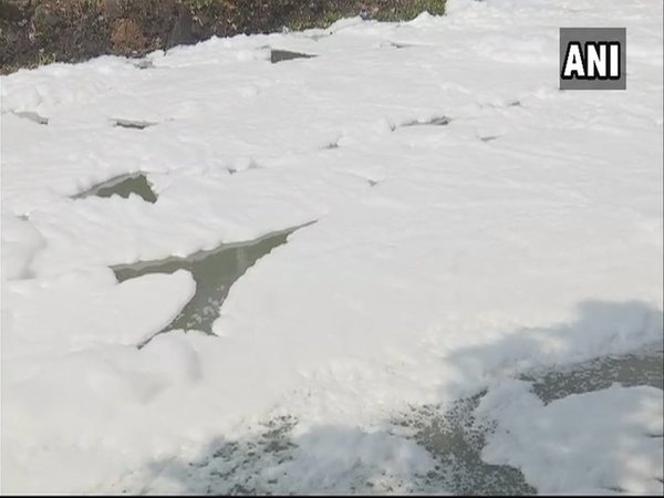 This toxic foam can be hazardous to health