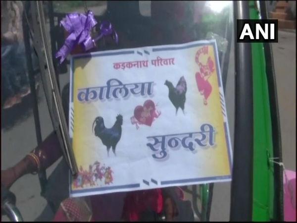 rooster wedding rooster wedding