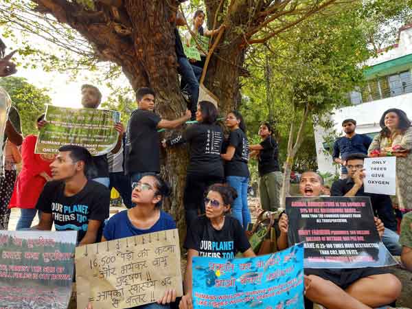 delhi tree protest delhi tree protest