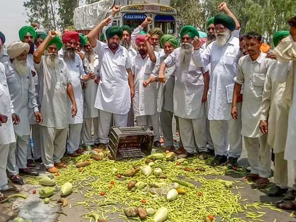farmers farmers