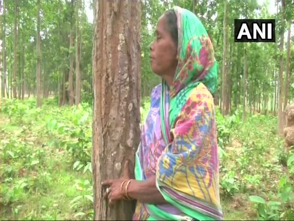 odisha tree hugger odisha tree hugger