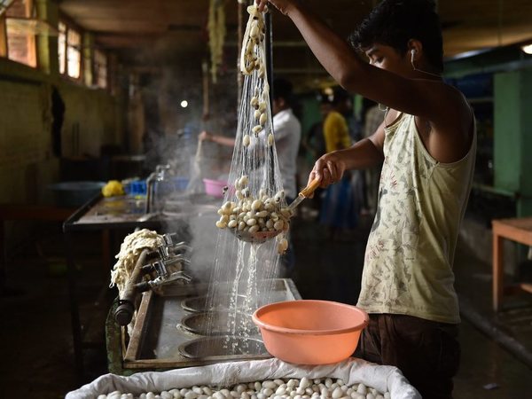 Processing of cocoons