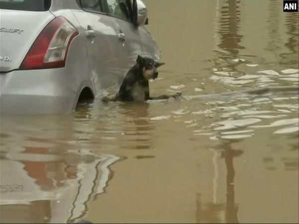 Rain claims 3 lives
