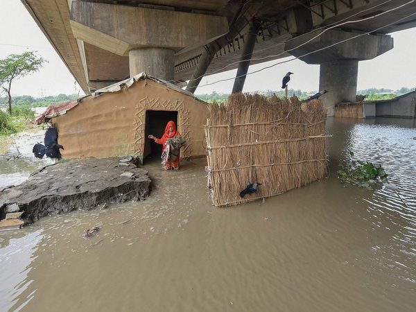 Submerged shanty