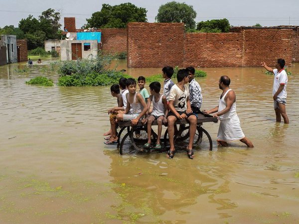 Flooded colony