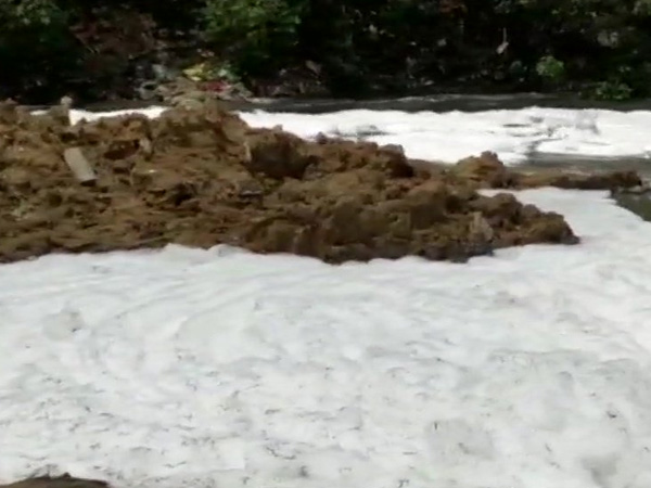 Bellandur lake in news for wrong reasons