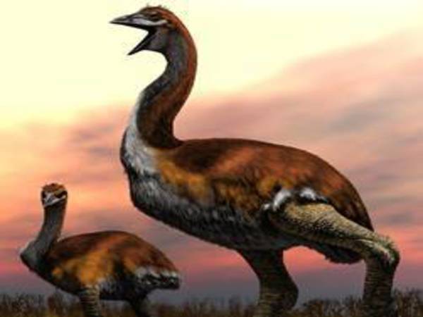 Artistic representation of Vorombe titan Artistic representation of Vorombe titan