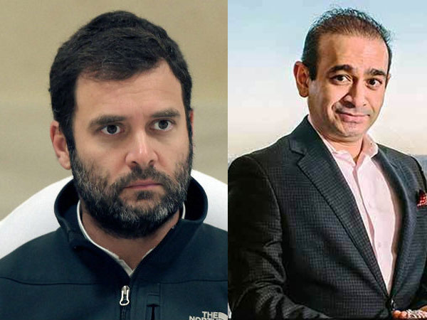 Rahul Gandhi met Nirav Modi at plush Delhi hotel in 2013 says activist Rahul Gandhi met Nirav Modi at plush Delhi hotel in 2013 says activist
