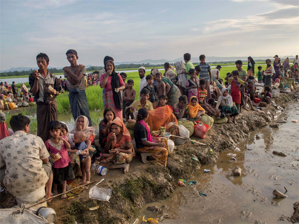 Rohinygas and their movement to feature in Indo-Bangla high level talks Rohinygas and their movement to feature in Indo-Bangla high level talks