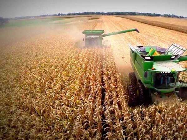 Mr Soybean is a proxy in the US-China trade war Mr Soybean is a proxy in the US-China trade war