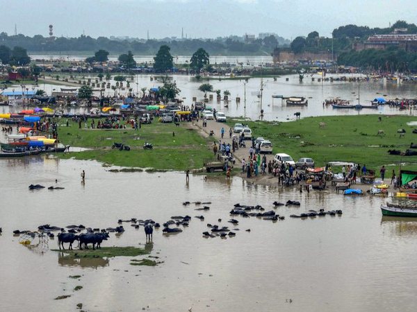 Submerged area in Allahabad