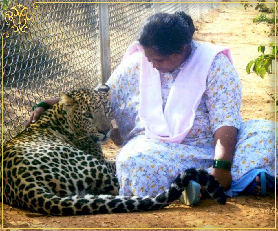 Love for leopard