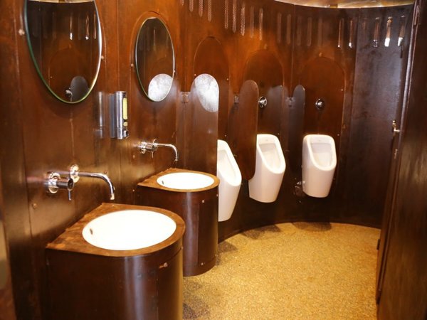 Eco friendly toilet