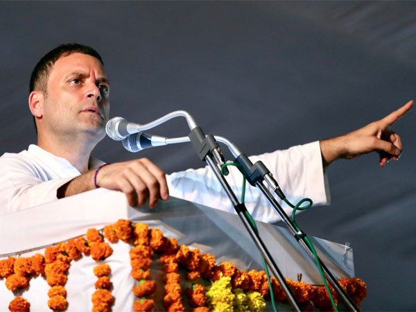 Congress President Rahul Gandhi Congress President Rahul Gandhi
