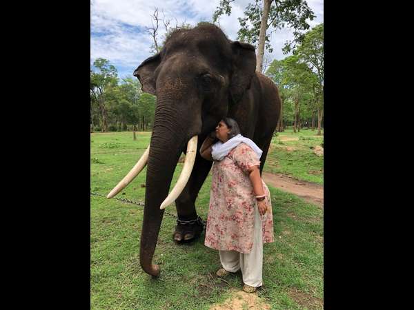 Elephant's love