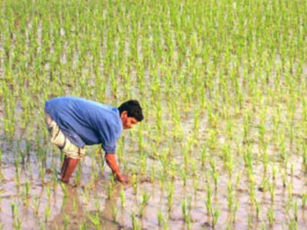 Sidhu slammed Modi govt over handling of farmer issues