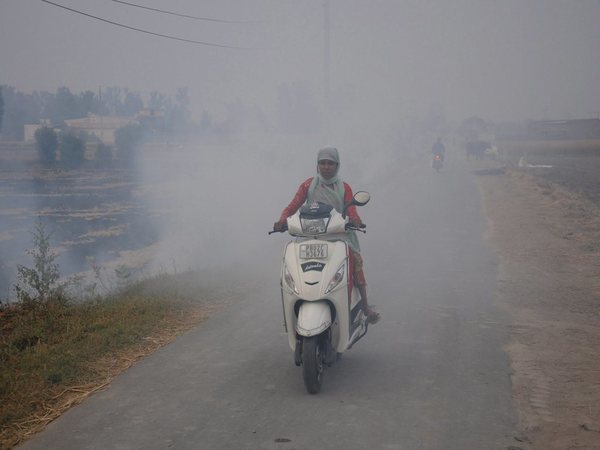 Respiratory problems on the rise