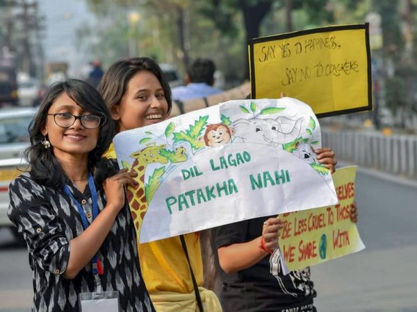 Villagers go for green Diwali