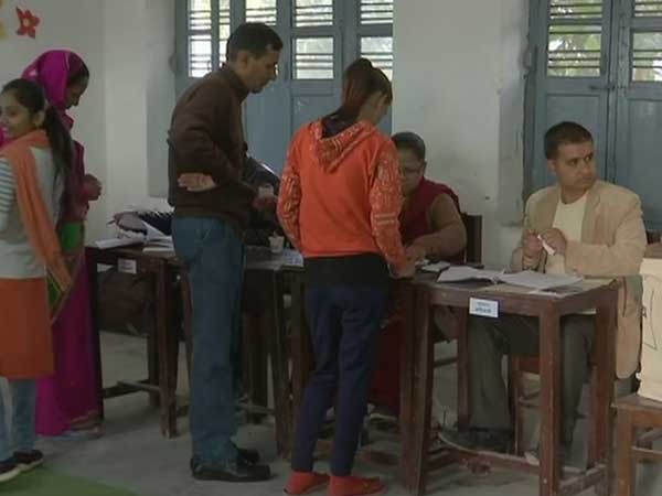 Polling underway in 84 urban local bodies, counting on Nov 20 Polling underway in 84 urban local bodies, counting on Nov 20