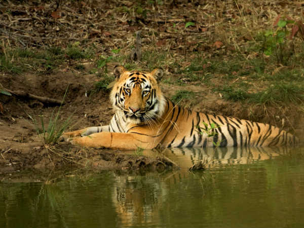 Question on conservation method