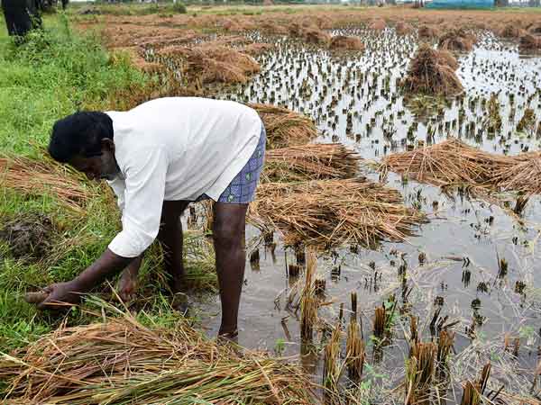 Farmer ies of heart attack: