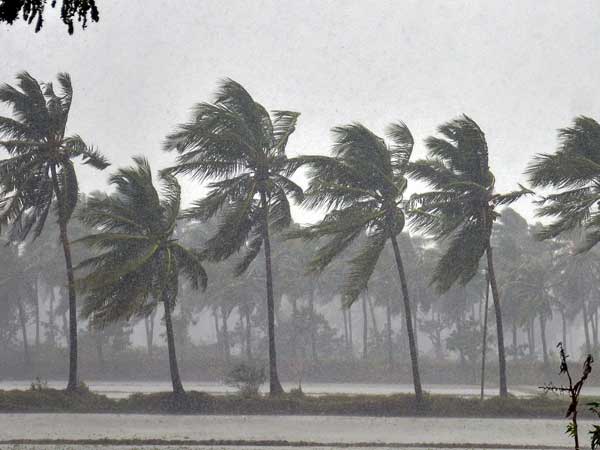10.3 lakh hectares of standing crop destroyed in Cyclone Phethai: