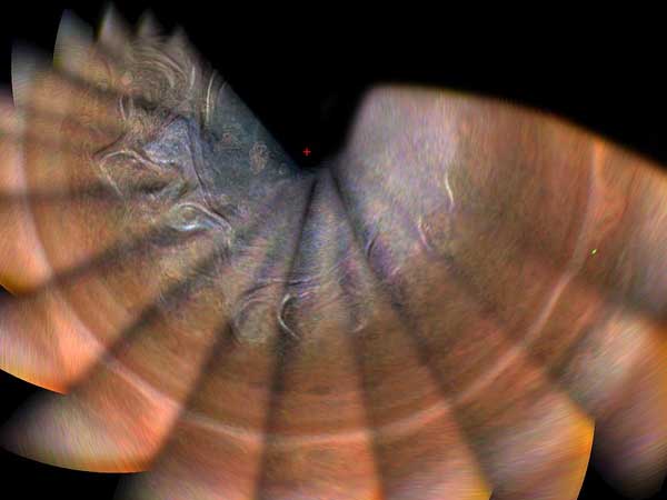 Juno probe reveals more of Jupiter's surprises: