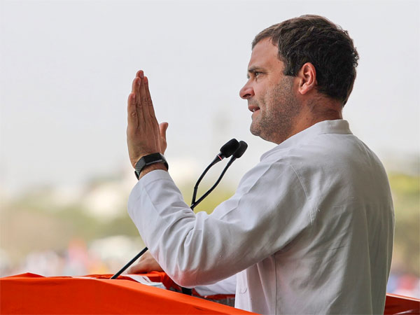 Congress President Rahul Gandhi Congress President Rahul Gandhi