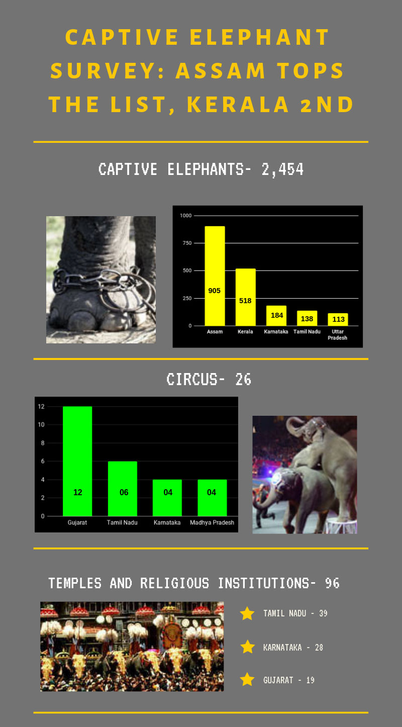 First captive elephant survey out: This is where your state stands First captive elephant survey out: This is where your state stands