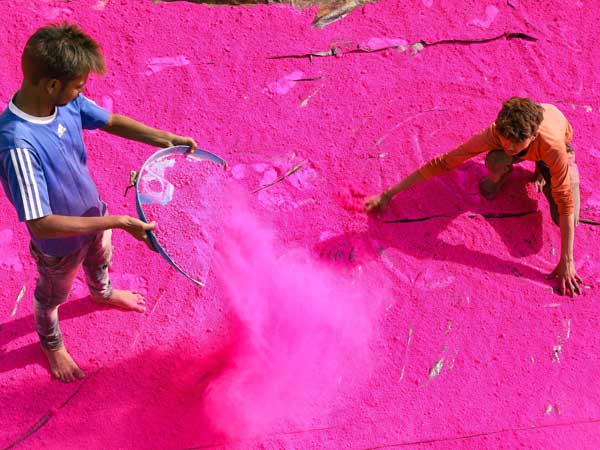 Why do we celebrate Holi 2019?