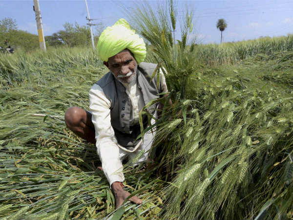 Loan availability among needs of the Punjab voter Loan availability among needs of the Punjab voter