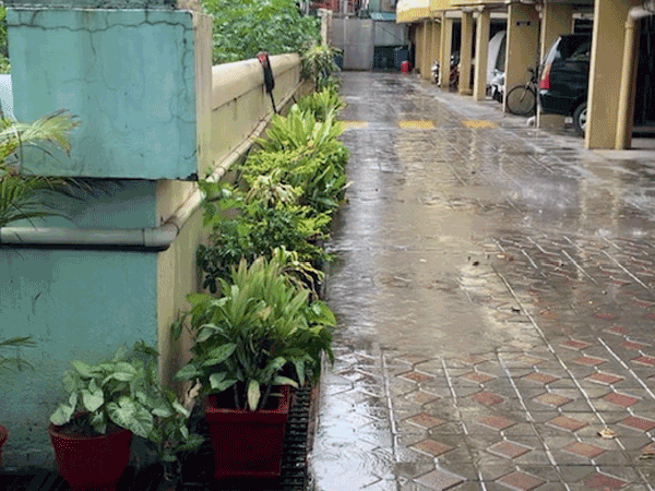 Strong winds, thundershowers lash parts of city in Bengaluru Strong winds, thundershowers lash parts of city in Bengaluru