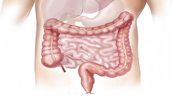 Endoscopy to be thing of the past soon, this mini-robot that can take images inside colon Endoscopy to be thing of the past soon, this mini-robot that can take images inside colon