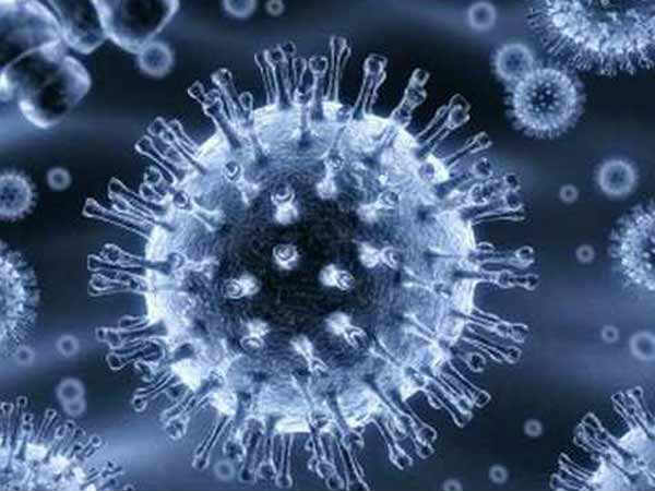 Nipah virus outbreak in Kerala: How it spreads, past outbreaks, symptoms and what to watch out for Nipah virus outbreak in Kerala: How it spreads, past outbreaks, symptoms and what to watch out for