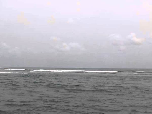 World Oceans Day 2019: Why oceans are the reason we are able to breathe World Oceans Day 2019: Why oceans are the reason we are able to breathe