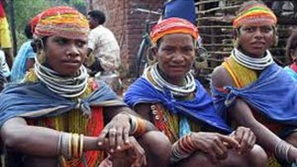 MOEF sends amended Indian Forest Act in English to tribals MOEF sends amended Indian Forest Act in English to tribals