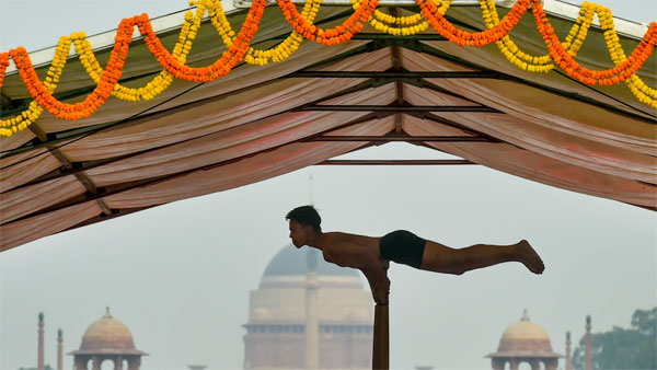 Yoga enthusiast perform Yoga