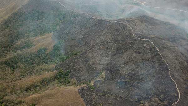 How did the Amazon rainforest fires start? How did the Amazon rainforest fires start?