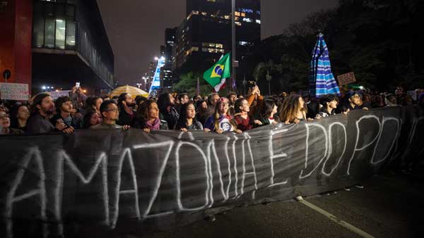 Why does the Amazon matter? Why does the Amazon matter?