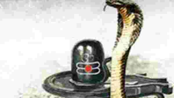 Nag Panchami 2019: Best whatsapp status, messages and quotes to send Nag Panchami 2019: Best whatsapp status, messages and quotes to send